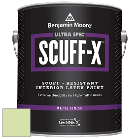 Benjamin Moore 484 Ultra Spec SCUFF-X Interior Matte Finish краска цвет NCS S 0530-G40Y 