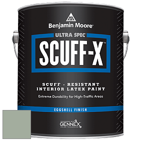 Benjamin Moore 485 Ultra Spec SCUFF-X Interior Eggshell Finish краска цвет NCS S 3010-G20Y 