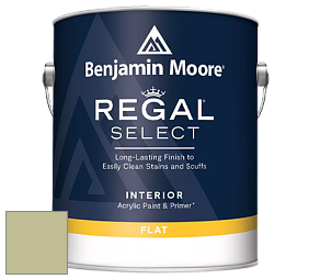 Benjamin Moore 547 Regal Select Waterborne Interior Flat Finish краска цвет NCS S 2020-G60Y 