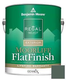 Краска Regal Select Exterior Paint-MoorLife Flat Finish (W105) цвет HC-135 BM HC-135