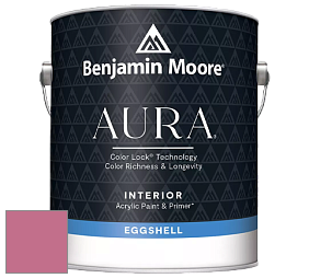 Benjamin Moore Aura 524 Waterborne Interior Eggshell Finish краска цвет NCS S 2050-R20B 