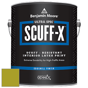 Benjamin Moore 485 Ultra Spec SCUFF-X Interior Eggshell Finish краска цвет NCS S 2070-G60Y 