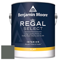 Benjamin Moore 547 Regal Select Waterborne Interior Flat Finish краска цвет NCS S 7005-G20Y 