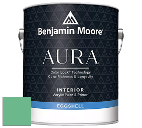 Benjamin Moore Aura 524 Waterborne Interior Eggshell Finish краска цвет 580 Arlington Green