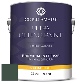 COLOR SMART CS 758 ULTRA CEILING PAINT ультраматовая краска цвет 2041-10 Hunter Green