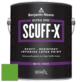 Benjamin Moore 484 Ultra Spec SCUFF-X Interior Matte Finish краска цвет 2032-20 Traffic Light Green
