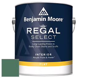Benjamin Moore 547 Regal Select Waterborne Interior Flat Finish краска цвет NCS S 5030-G 