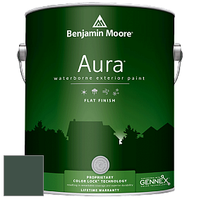 Benjamin Moore Aura 629 Waterborne Exterior Flat Finish краска цвет 2041-10 Hunter Green