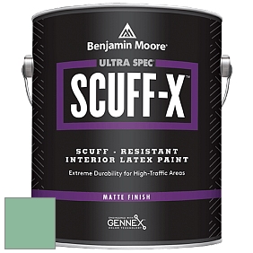Benjamin Moore 484 Ultra Spec SCUFF-X Interior Matte Finish краска цвет NCS S 2030-G 