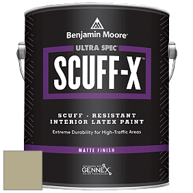 Benjamin Moore 484 Ultra Spec SCUFF-X Interior Matte Finish краска цвет AF-410 