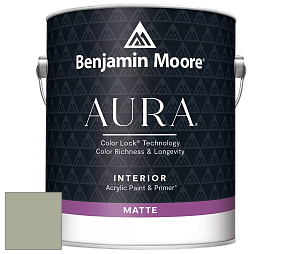Benjamin Moore Aura 522 Interior Paint - Matte краска цвет NCS S 3010-G50Y 