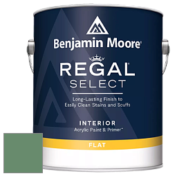 Benjamin Moore 547 Regal Select Waterborne Interior Flat Finish краска цвет NCS S 4030-G10Y 