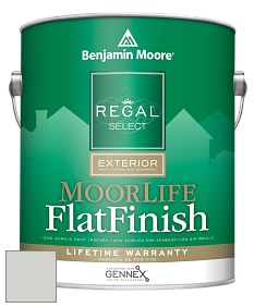 Benjamin Moore W105 Regal Select Exterior Paint-MoorLife Flat Finish краска цвет HC-171 BM HC-171