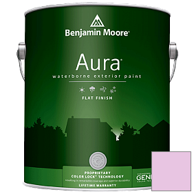 Краска Aura Waterborne Exterior Flat Finish (629) цвет 2076-60 Dog's Ear