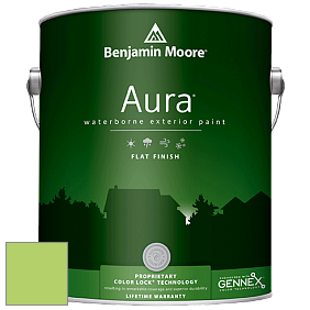 Benjamin Moore Aura 629 Waterborne Exterior Flat Finish краска цвет 2031-40 Spring Meadow Green