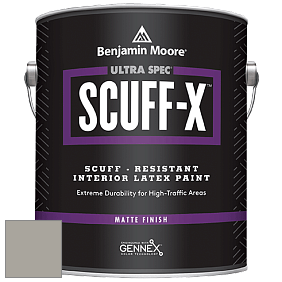 Benjamin Moore 484 Ultra Spec SCUFF-X Interior Matte Finish краска цвет NCS S 3502-Y20R 
