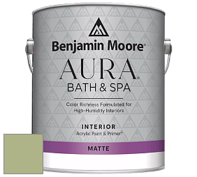 Benjamin Moore Aura 532 Bath & Spa Waterborne Interior Paint Matte Finish краска цвет 431 Central Park
