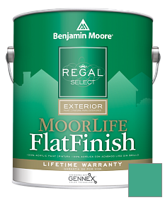 Краска Regal Select Exterior Paint-MoorLife Flat Finish (W105) цвет 607 Albuquerque Teal
