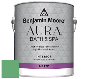 Benjamin Moore Aura 532 Bath & Spa Waterborne Interior Paint Matte Finish краска цвет NCS S 2050-G10Y 