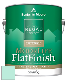 Benjamin Moore W105 Regal Select Exterior Paint-MoorLife Flat Finish краска цвет 2044-60 Crystal Clear