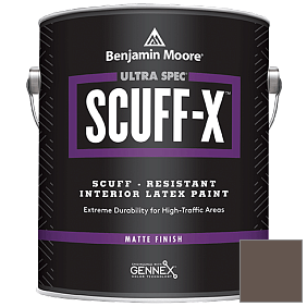 Краска Ultra Spec SCUFF-X Interior Matte Finish (484) цвет AF-170 