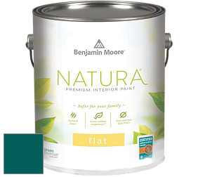 Benjamin Moore 512 Natura Interior Flat Finish матовая краска цвет NCS S 5540-B40G 