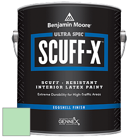 Benjamin Moore 485 Ultra Spec SCUFF-X Interior Eggshell Finish краска цвет NCS S 0530-G10Y 