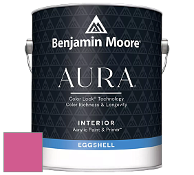 Benjamin Moore Aura 524 Waterborne Interior Eggshell Finish краска цвет RAL 4003 