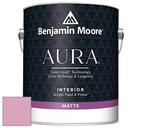 Benjamin Moore Aura 522 Interior Paint - Matte краска цвет 2080-50 Bayberry