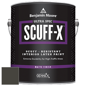 Benjamin Moore 484 Ultra Spec SCUFF-X Interior Matte Finish краска цвет NCS S 8505-G80Y 