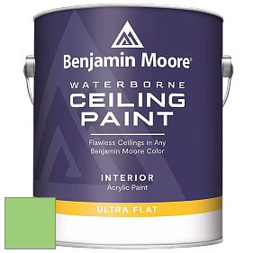 Benjamin Moore 508 Waterborne Ceiling Paint краска для потолков цвет 2032-40 Citrus Green