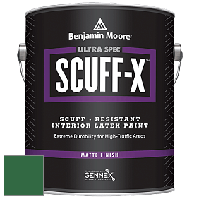 Benjamin Moore 484 Ultra Spec SCUFF-X Interior Matte Finish краска цвет NCS S 4550-G10Y 
