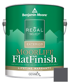 Краска Regal Select Exterior Paint-MoorLife Flat Finish (W105) цвет 2130-30 Almost Black
