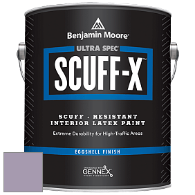 Benjamin Moore 485 Ultra Spec SCUFF-X Interior Eggshell Finish краска цвет NCS S 3020-R50B 