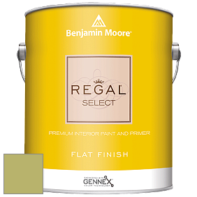 Benjamin Moore 547 Regal Select Waterborne Interior Flat Finish краска цвет NCS S 2040-G60Y 