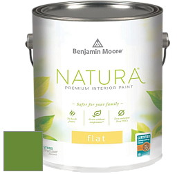 Benjamin Moore 512 Natura Interior Flat Finish матовая краска цвет NCS S 2570-G30Y 