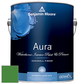 Benjamin Moore Aura 524 Waterborne Interior Eggshell Finish краска цвет NCS S 2570-G20Y 