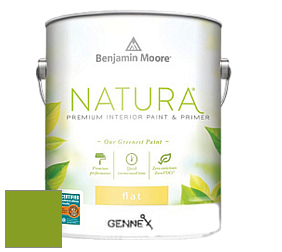 Benjamin Moore 514 Natura Interior Semi-Gloss Finish краска цвет 2028-10 Iguana Green