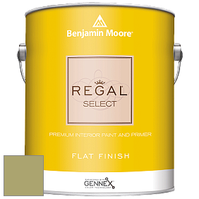 Benjamin Moore 547 Regal Select Waterborne Interior Flat Finish краска цвет NCS S 3030-G70Y 