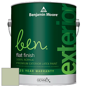 Benjamin Moore Ben 541 Waterborne Exterior Flat Finish краска цвет HC-119 BM HC-119