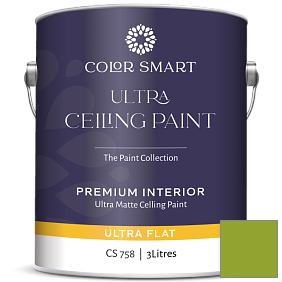 Краска COLOR SMART CS 758 ULTRA CEILING PAINT ультраматовая краска цвет 2028-20 Douglas Fir