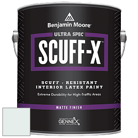 Benjamin Moore 484 Ultra Spec SCUFF-X Interior Matte Finish краска цвет NCS S 0505-B80G 