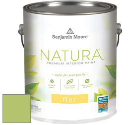 Benjamin Moore 512 Natura Interior Flat Finish матовая краска цвет 2029-40 Stem Green