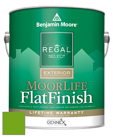 Benjamin Moore W105 Regal Select Exterior Paint-MoorLife Flat Finish краска цвет 2031-10 Neon Lime