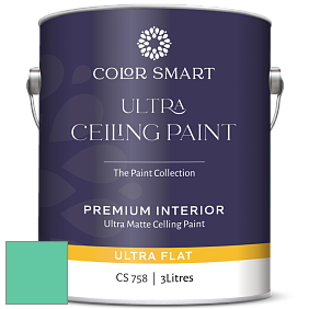 COLOR SMART CS 758 ULTRA CEILING PAINT ультраматовая краска цвет NCS S 1050-B90G 