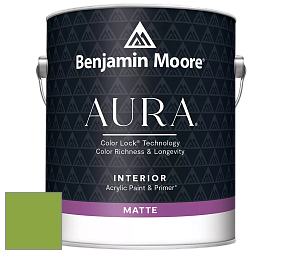 Benjamin Moore Aura 522 Interior Paint - Matte краска цвет 2029-30 Rosemary Green