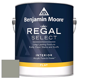 Benjamin Moore 547 Regal Select Waterborne Interior Flat Finish краска цвет NCS S 4005-G50Y 