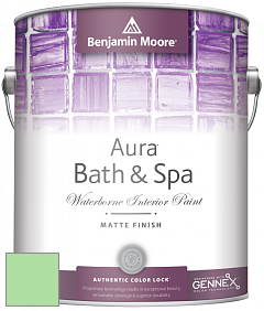 Benjamin Moore Aura 532 Bath & Spa Waterborne Interior Paint Matte Finish краска цвет NCS S 0540-G20Y 