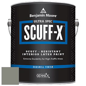 Benjamin Moore 485 Ultra Spec SCUFF-X Interior Eggshell Finish краска цвет NCS S 5005-G50Y 