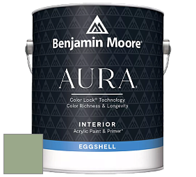 Benjamin Moore Aura 524 Waterborne Interior Eggshell Finish краска цвет NCS S 3020-G30Y 